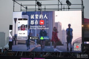 打破次元壁的狂欢 互联网产品为何扎堆音乐节，重塑网络音乐服务新想象